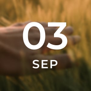 How Do I Cope When Grief Feels Overwhelming? A Path Through Grief